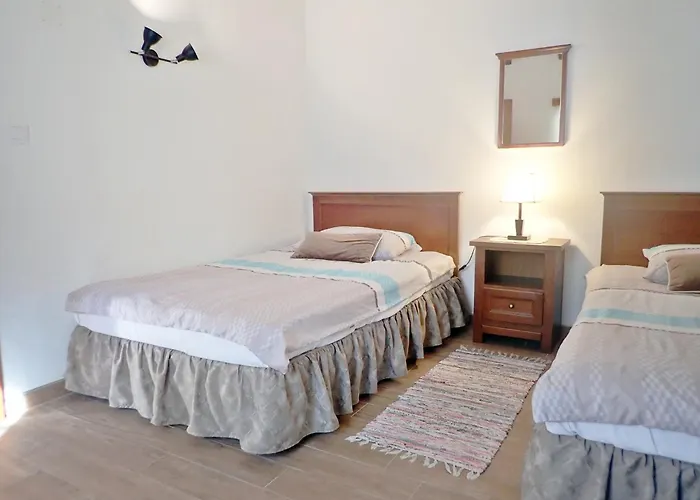 Ferienhaus In Starigrad-paklenica 40978