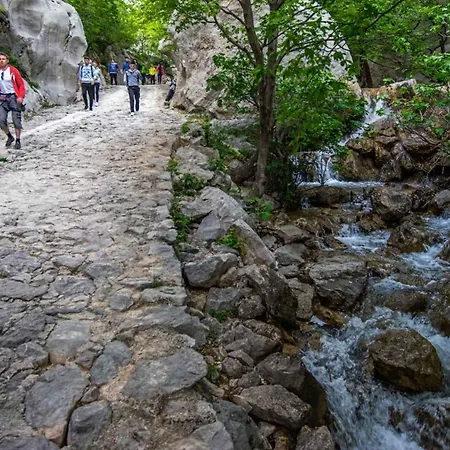 Nyaraló In Starigrad-paklenica 40978 Starigrad-Paklenica